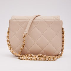Chanel Taupe Mini Fashion Therapy Flap Bag 2020