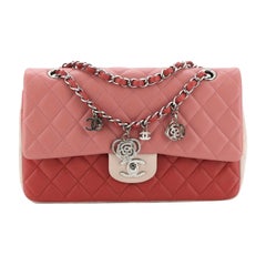 Chanel Tricolor Valentine Crystal Hearts Flap Bag Quilted Lambskin Mini