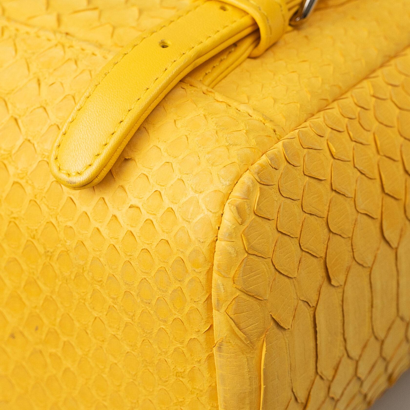 Chanel Urban Spirit Backpack Medium Python Yellow  For Sale 4
