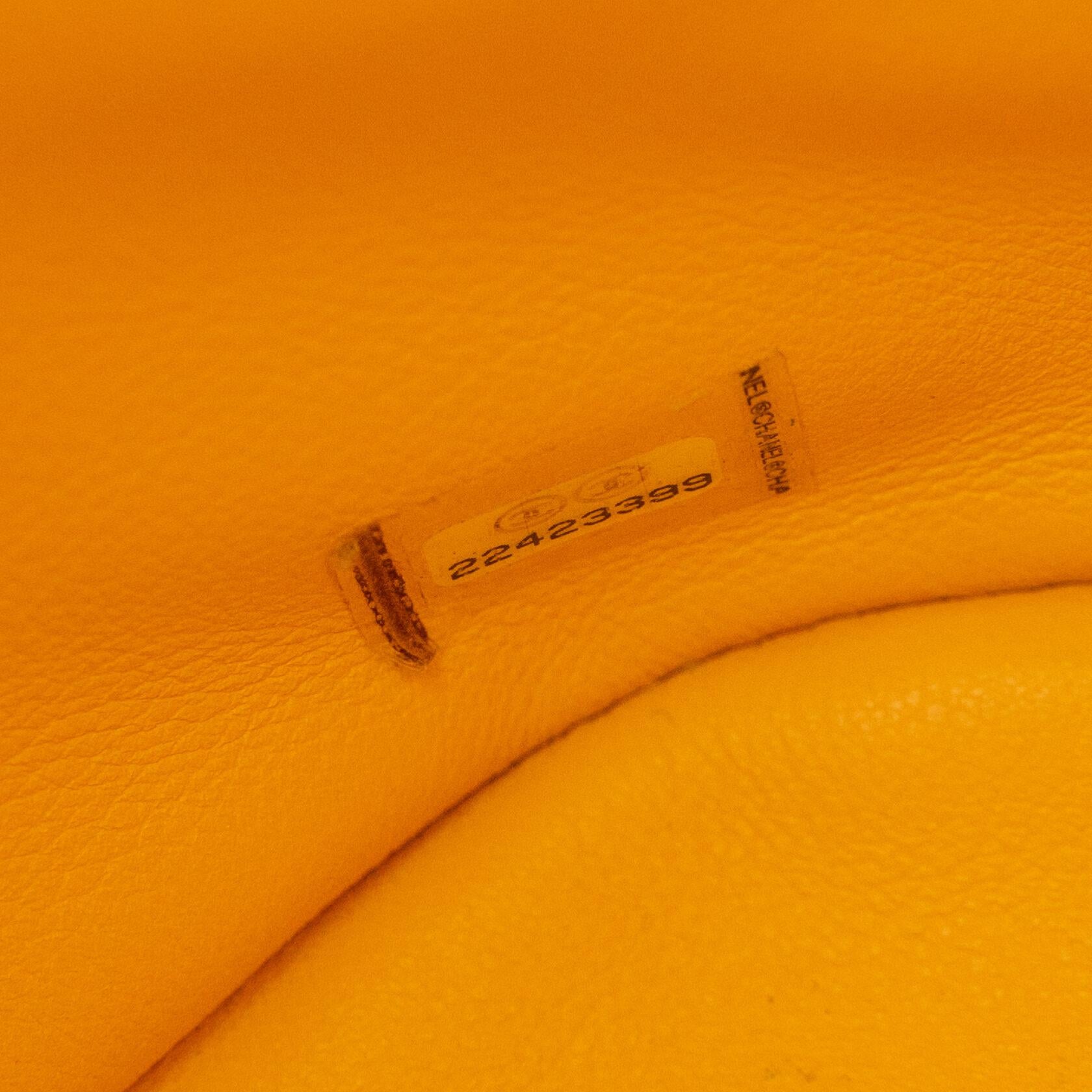 Chanel Urban Spirit Backpack Medium Python Yellow  For Sale 3