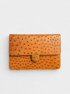 Chanel Vintage Ostrich WOC
