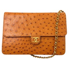 Chanel Vintage Ostrich WOC