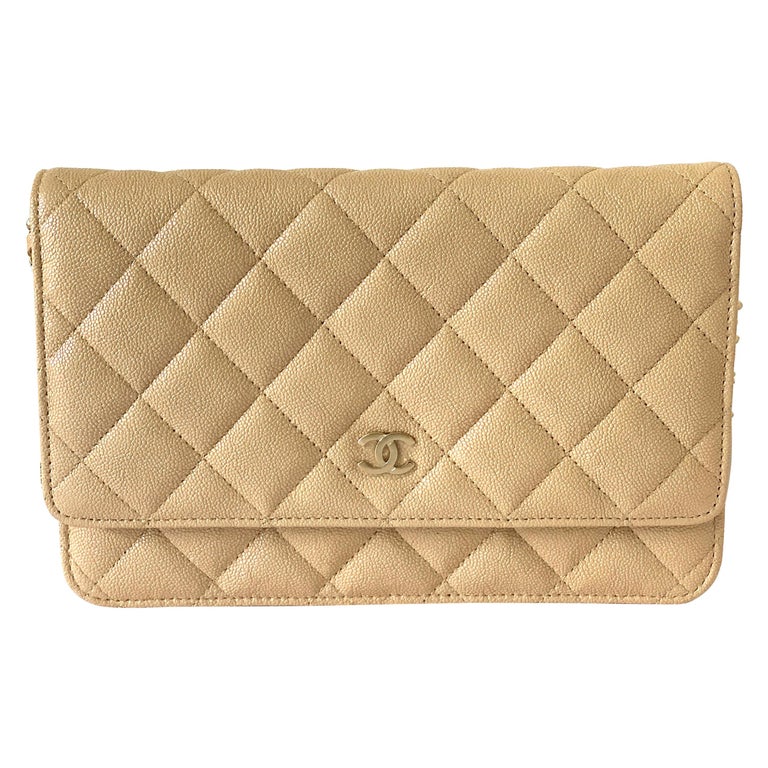 Chanel Wallet on Chain 19s Iridescent Pearly Pink Woc Beige Gold