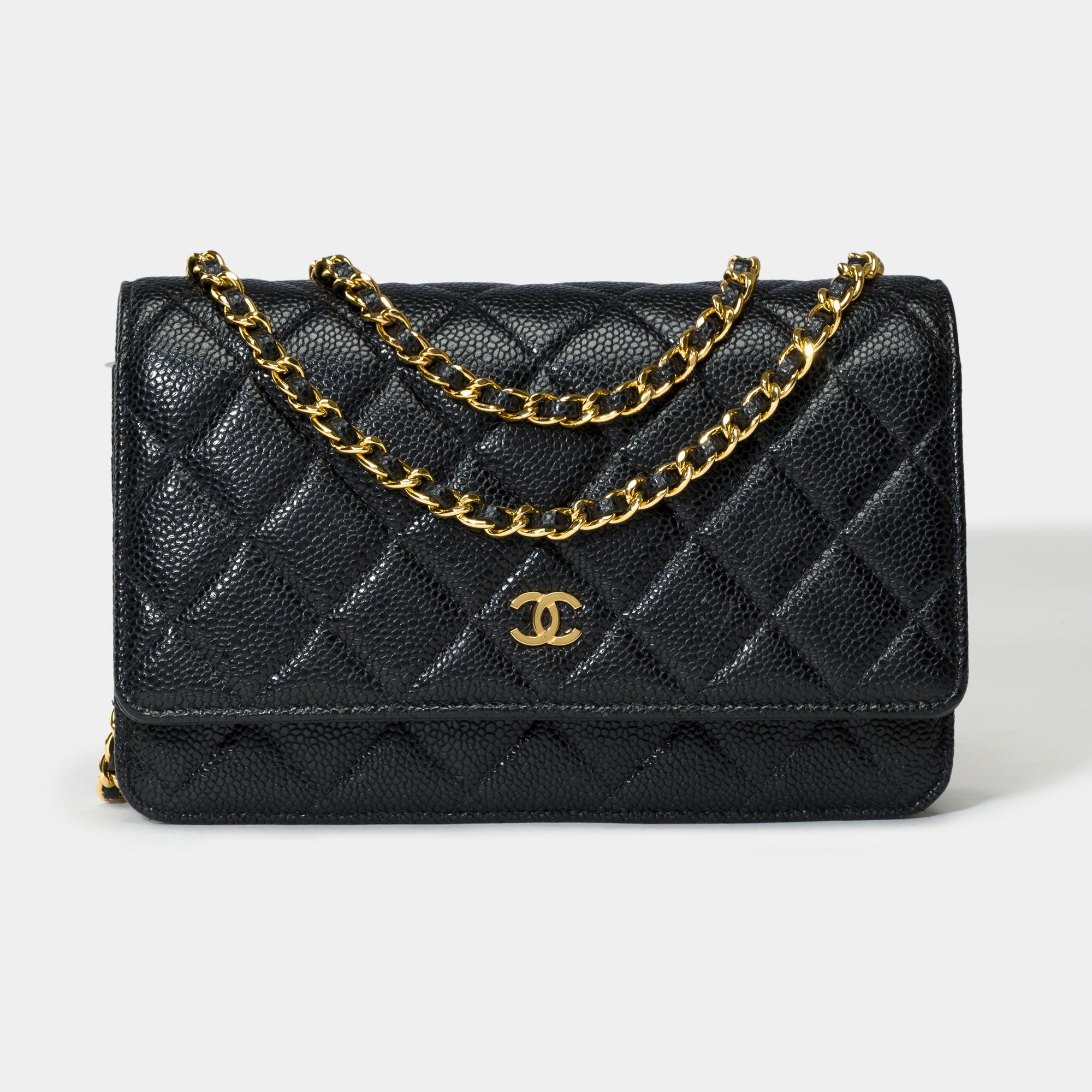Lovely​​ ​​Chanel​​ ​​Wallet​​ ​​On​​ ​​Chain(WOC)​​ ​​shoulder​​ ​​bag​​ ​​​​ ​​in​​ ​​black​​ ​​quilted​​ ​​caviar​​ ​​leather,​​ ​​gold​​ ​​metal​​ ​​trim,​​ ​​a​​ ​​gold​​ ​​metal​​ ​​chain​​ ​​handle​​ ​​interlaced​​ ​​with​​ ​​black​​