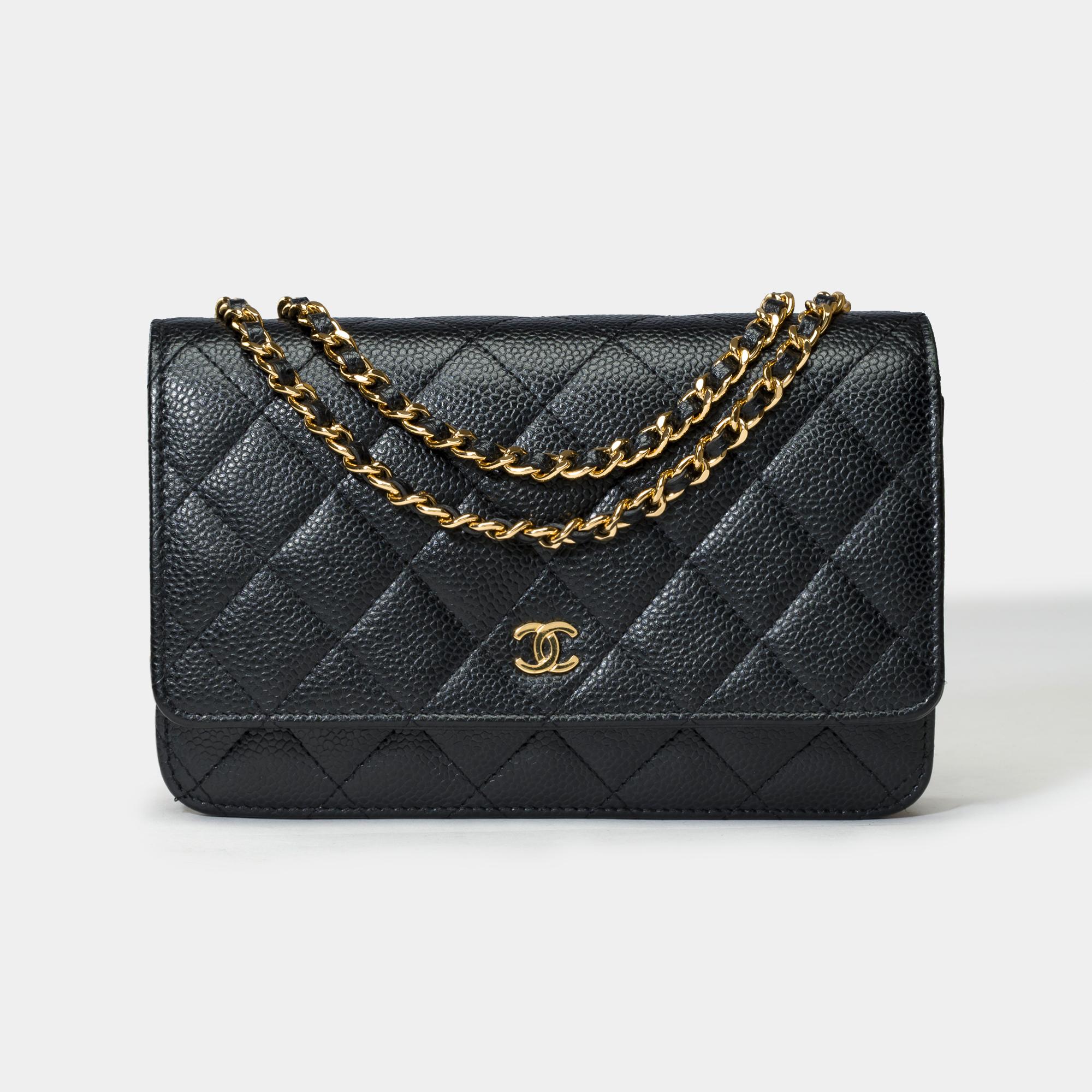 Lovely​​​​ ​​​​Chanel​​​​ ​​​​Wallet​​​​ ​​​​On​​​​ ​​​​Chain(WOC)​​​​ ​​​​shoulder​​​​ ​​​​bag​​​​ ​​​​​​​​ ​​​​in​​​​ ​​​​black​​​​ ​​​​quilted​​​​ ​​​​caviar​​​​ ​​​​leather,​​​​ ​​​​gold​​​​ ​​​​metal​​​​ ​​​​trim,​​​​ ​​​​a​​​​ ​​​​gold​​​​