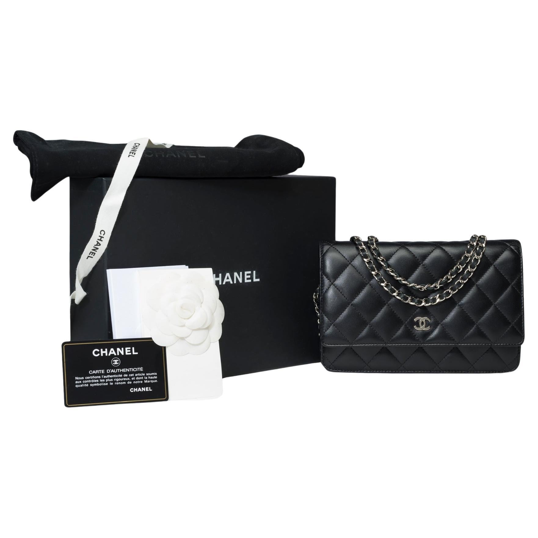 Chanel Wallet on Chain (WOC)  shoulder bag in Black quilted lamb leather, SHW For Sale