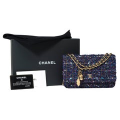 Chanel Wallet on Chain (WOC) shoulder bag in Multicolor Tweed, MGHW