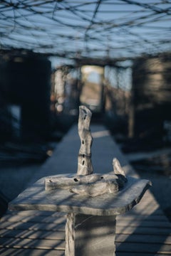 Greek Mythology Inspired Grey Marble Chaos Set of 4 by Andres Monnier