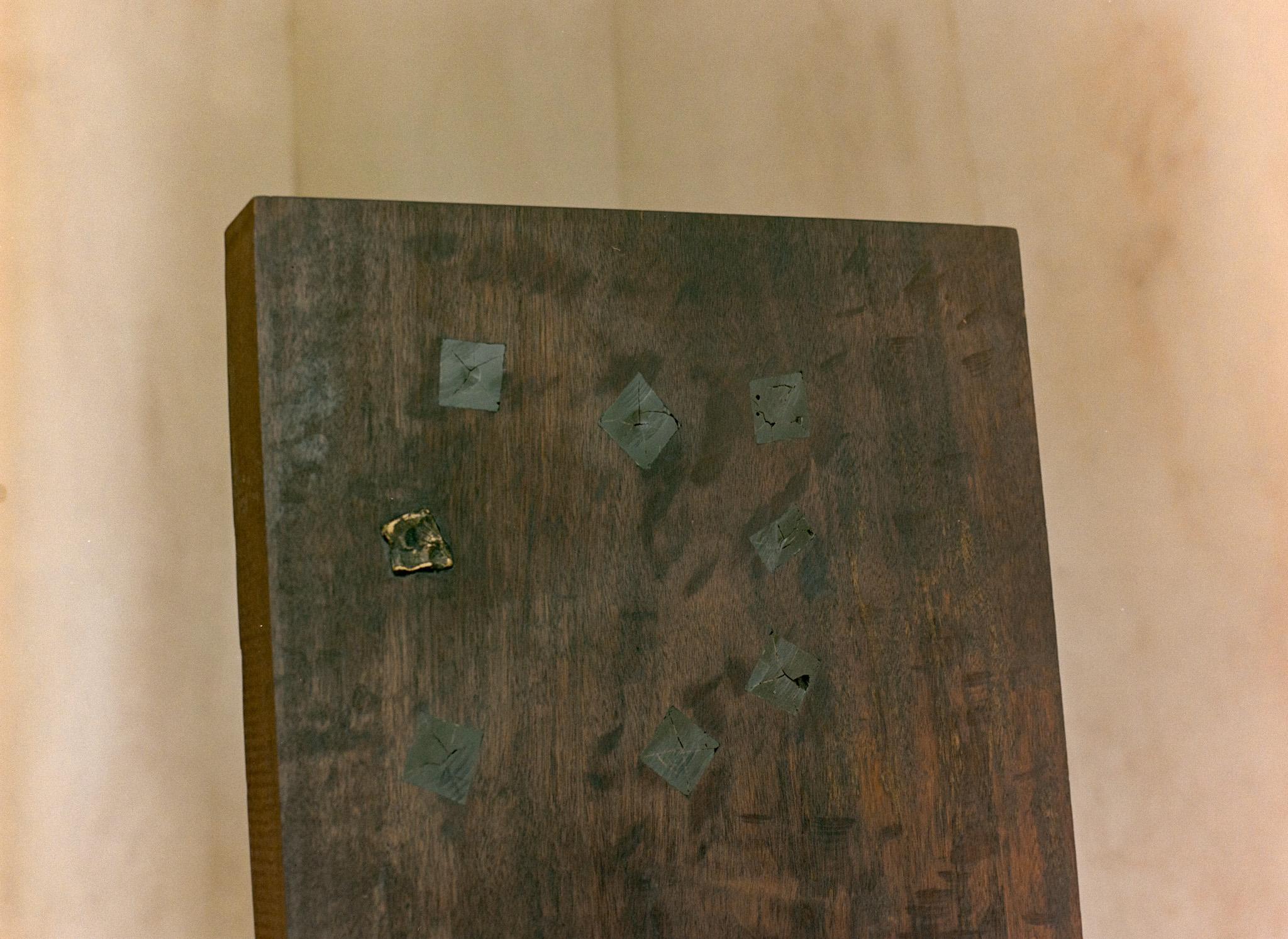 Rafael Triboli’s new collection synthesizes the foundational aspects of his practice, bringing together techniques and resources that have long inhabited his repertoire, but now achieve an organic communication with the naturalness that constant