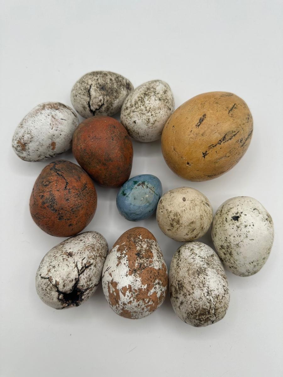 Cuenco con huevos (Cerámica Chapman Hand Made) - Sculpture de Chapman Pottery