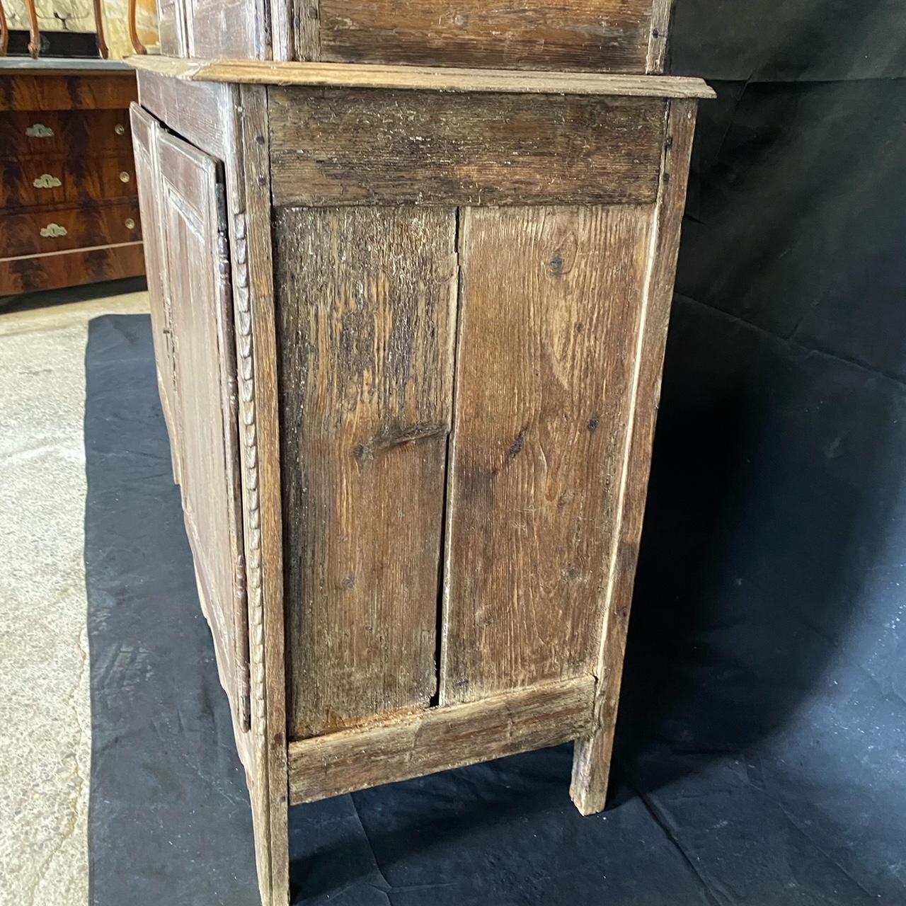 Character Rich French 19th Century Tall Carved Wood Cabinet Bookcase 8
