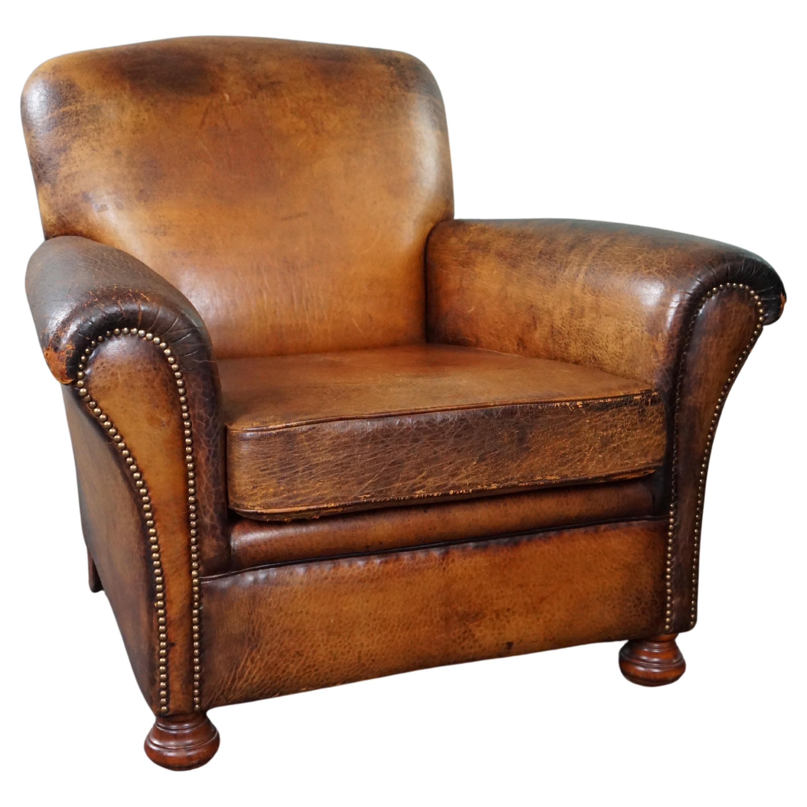 Characteristic sheep leather armchair with amazing colors For Sale