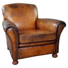 Vintage Characteristic sheep leather armchair with amazing colors