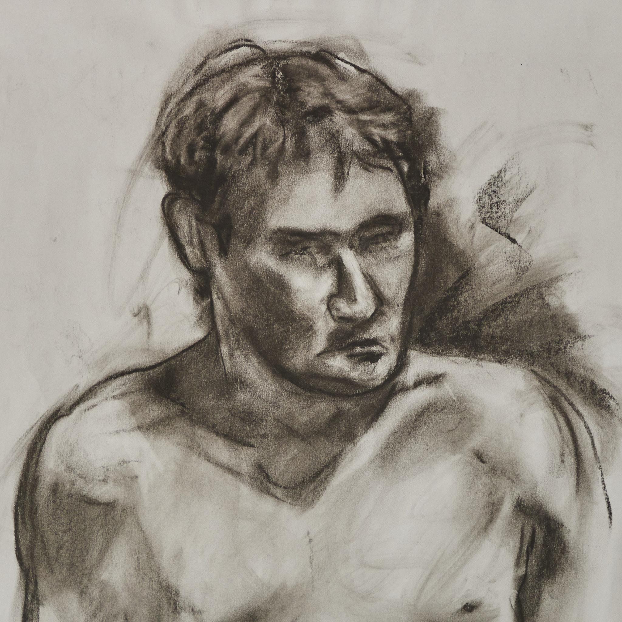 disegni carboncino