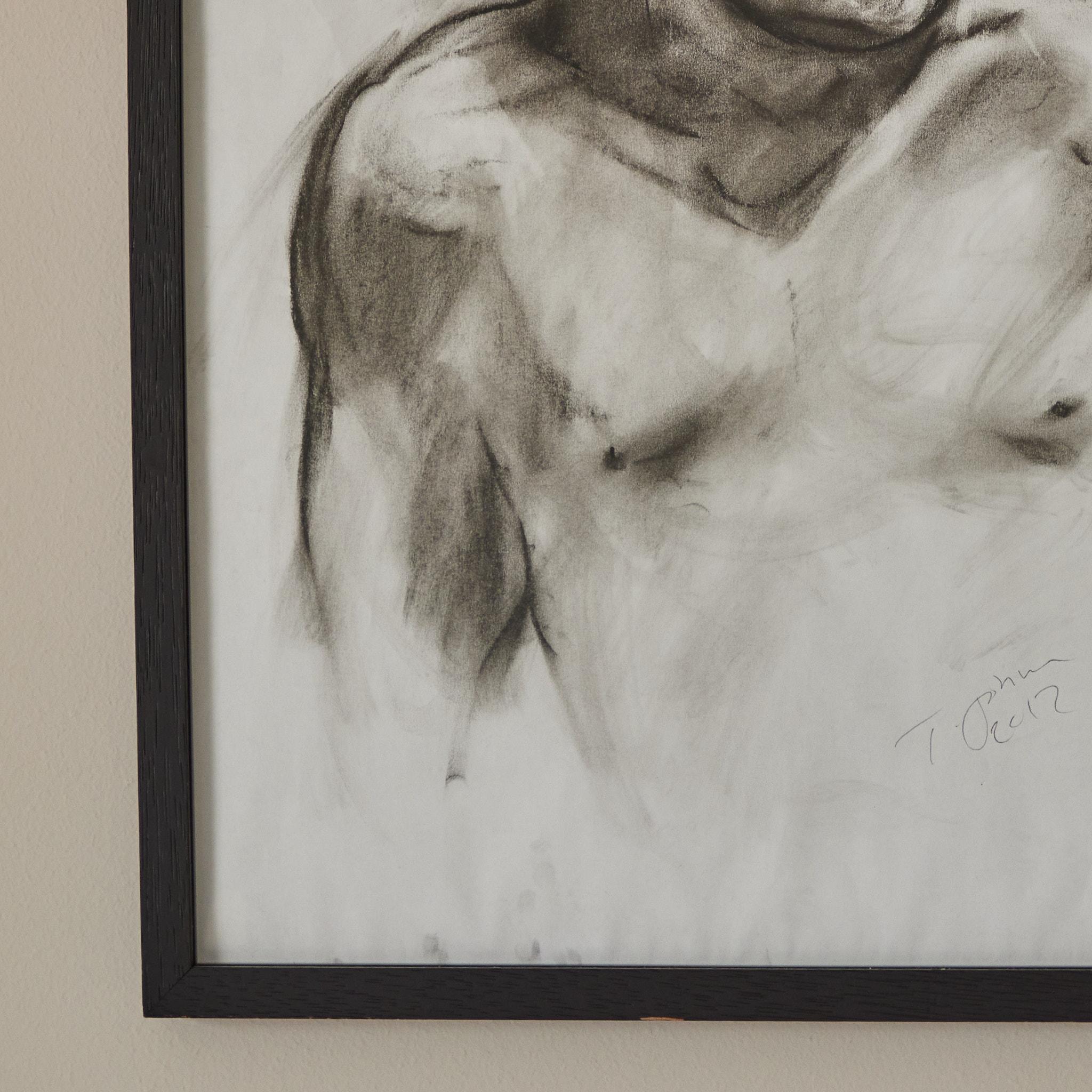 disegni a carboncino