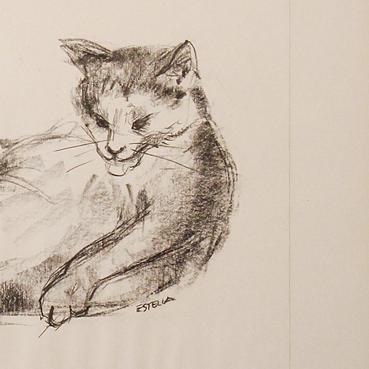 Modern Charcoal Drawing of a Cat Washing by Dutch Artist Estella Den Boer For Sale