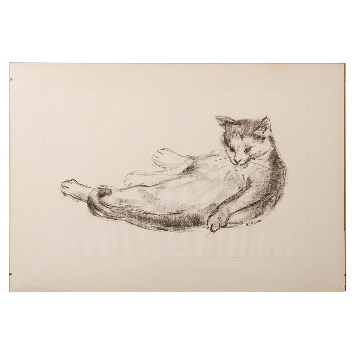 Charcoal Drawing of a Cat Washing by Dutch Artist Estella Den Boer For Sale