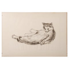 Zeichenkohle-Zeichnung einer Katzenwäsche der niederländischen Künstlerin Estella den Boer