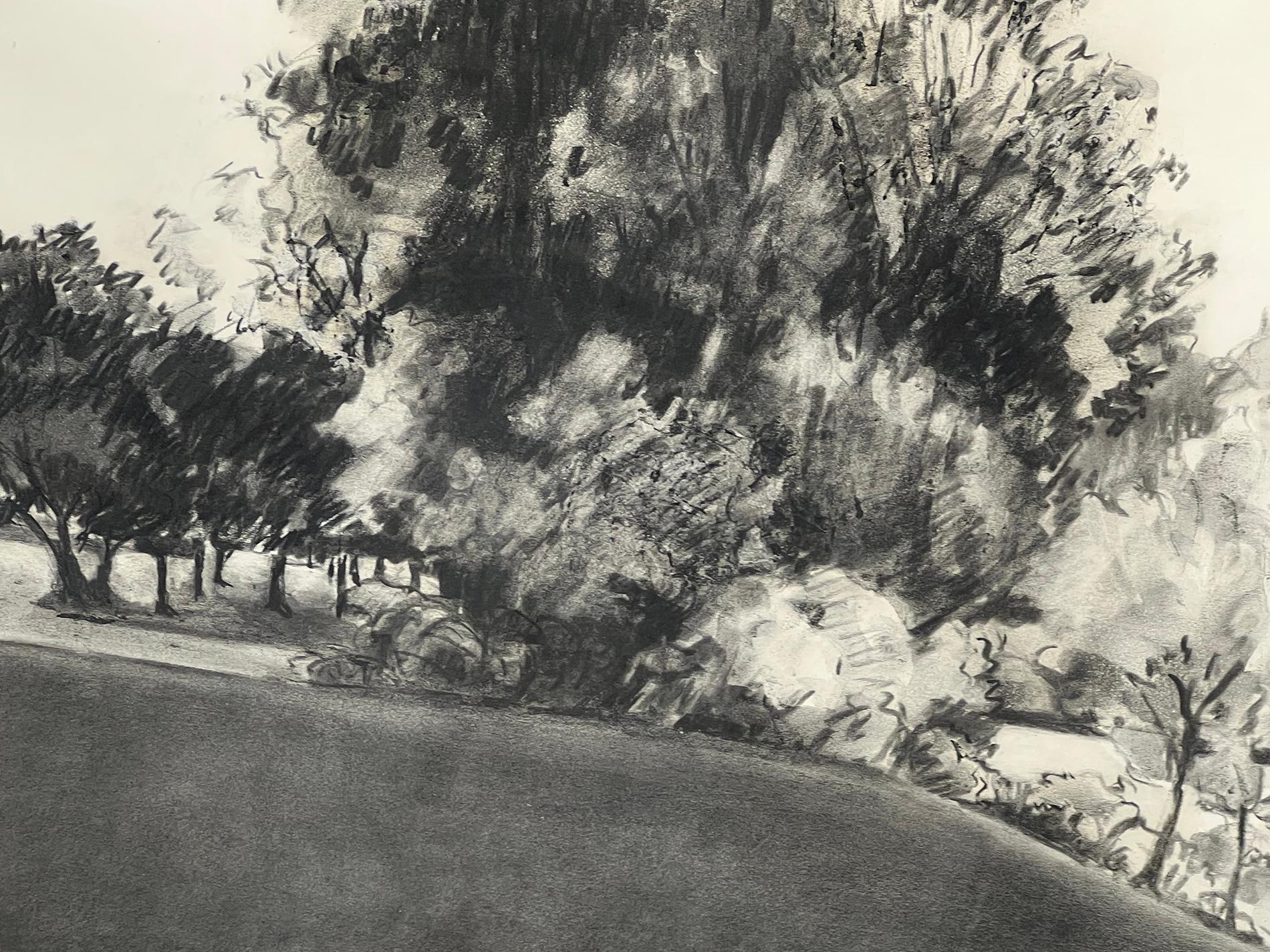 Modern Charcoal on paper: 'The Edge of the Park' Signed 'Liepe '70' For Sale