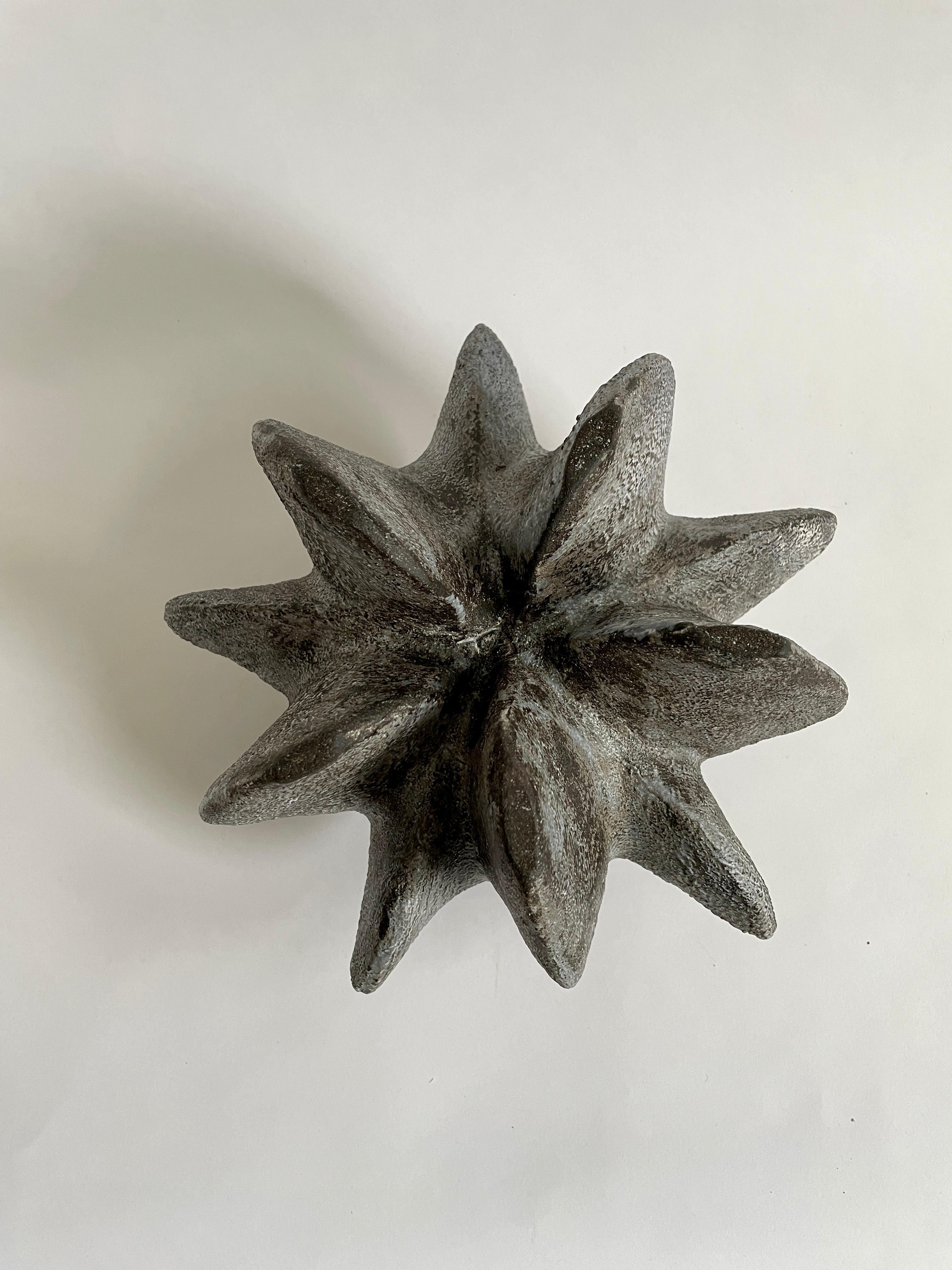 Contemporary Charcoal Petal Gourd I by Julie Nelson