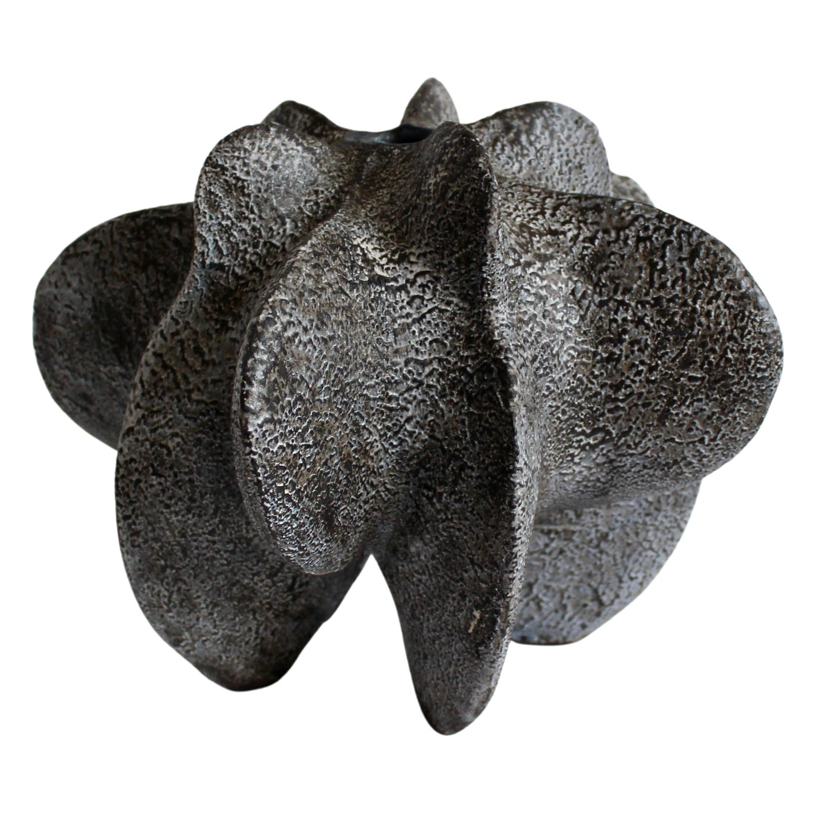 Charcoal Petal Gourd I by Julie Nelson For Sale