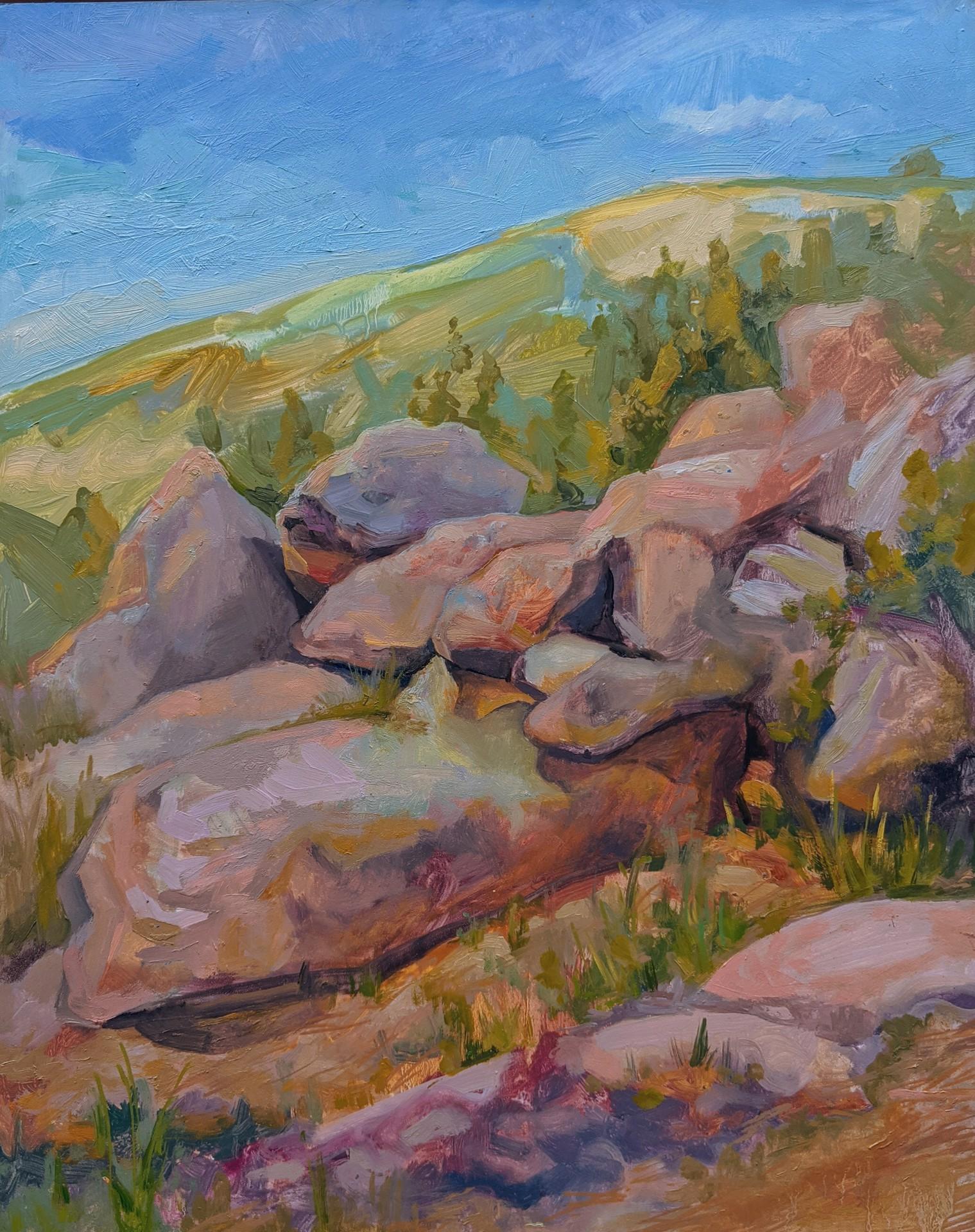 Charis Carmichael Braun Figurative Painting - Rocks Tumbling