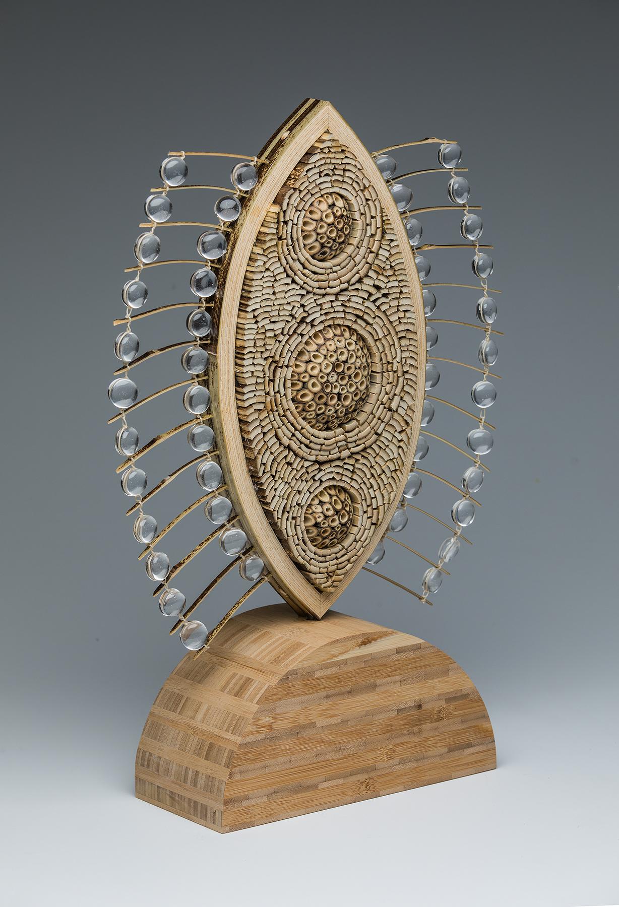 Strata Diatoma – Sculpture von Charissa Brock