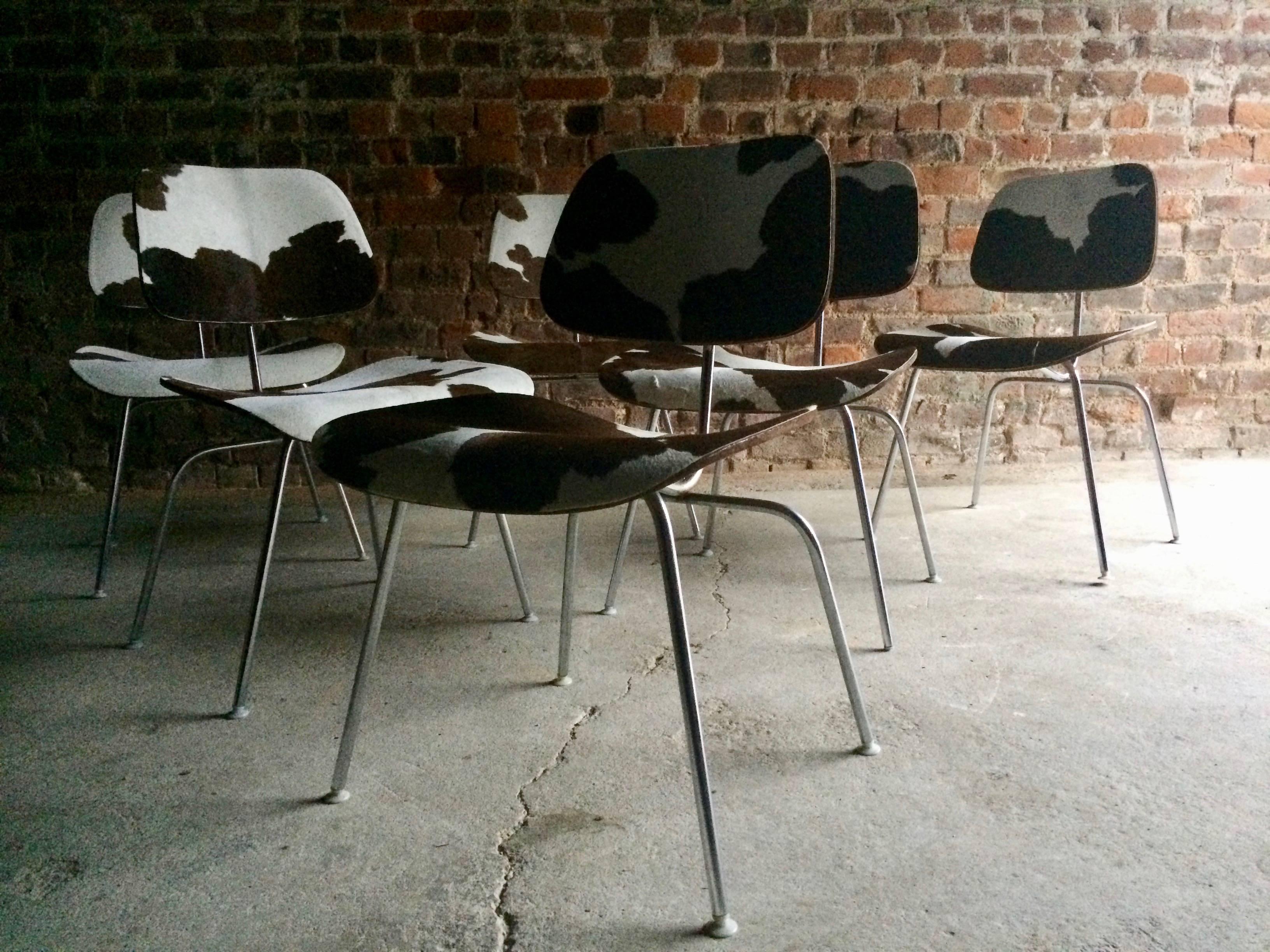 A set of six Herman Miller laminated ply and chrome-plated steel DCM calf skin chairs by Charles and Ray Eames designed 1945-1946, several with printed label of Herman Miller Inc Zeeland Michigan, this set dating to circa 1960s and offered in superb