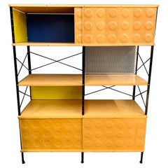 Charles and Ray Eames ESU Storage Unit Shelving Library Étagère Room  Divider at 1stDibs | esu library, eames etagere
