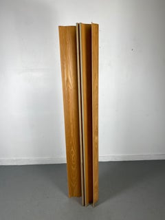 Schermo pieghevole / divisorio in compensato di Charles and Ray Eames, , F S 6, , , A. F. Miller