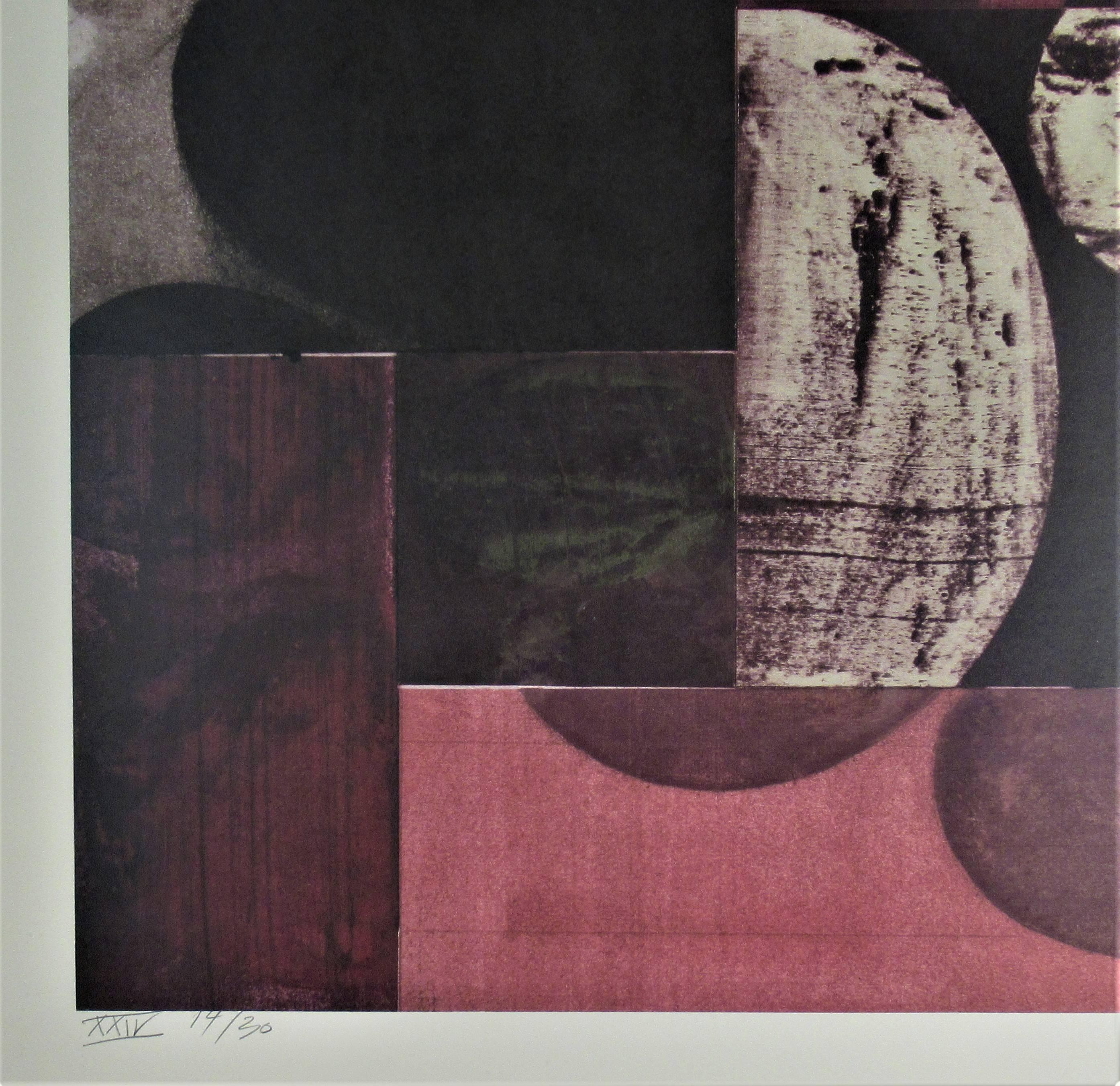Ohne Titel (Grau), Abstract Print, von Charles Arnoldi