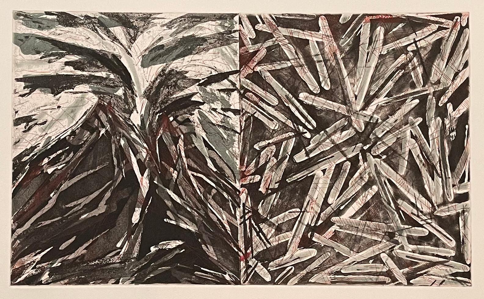 Charles Arnoldi Abstract Print – UNbetitelt