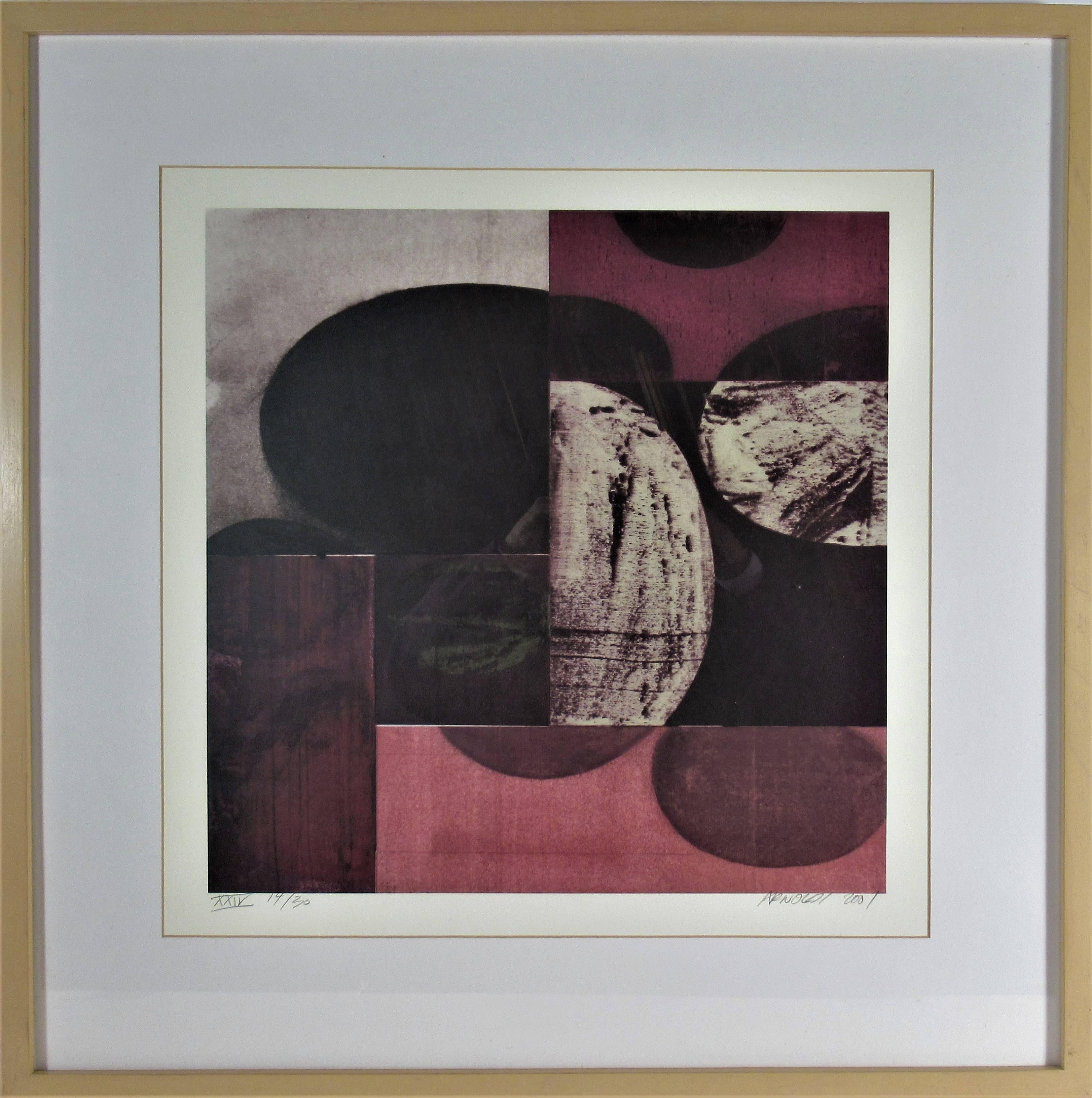Charles Arnoldi Abstract Print – Ohne Titel