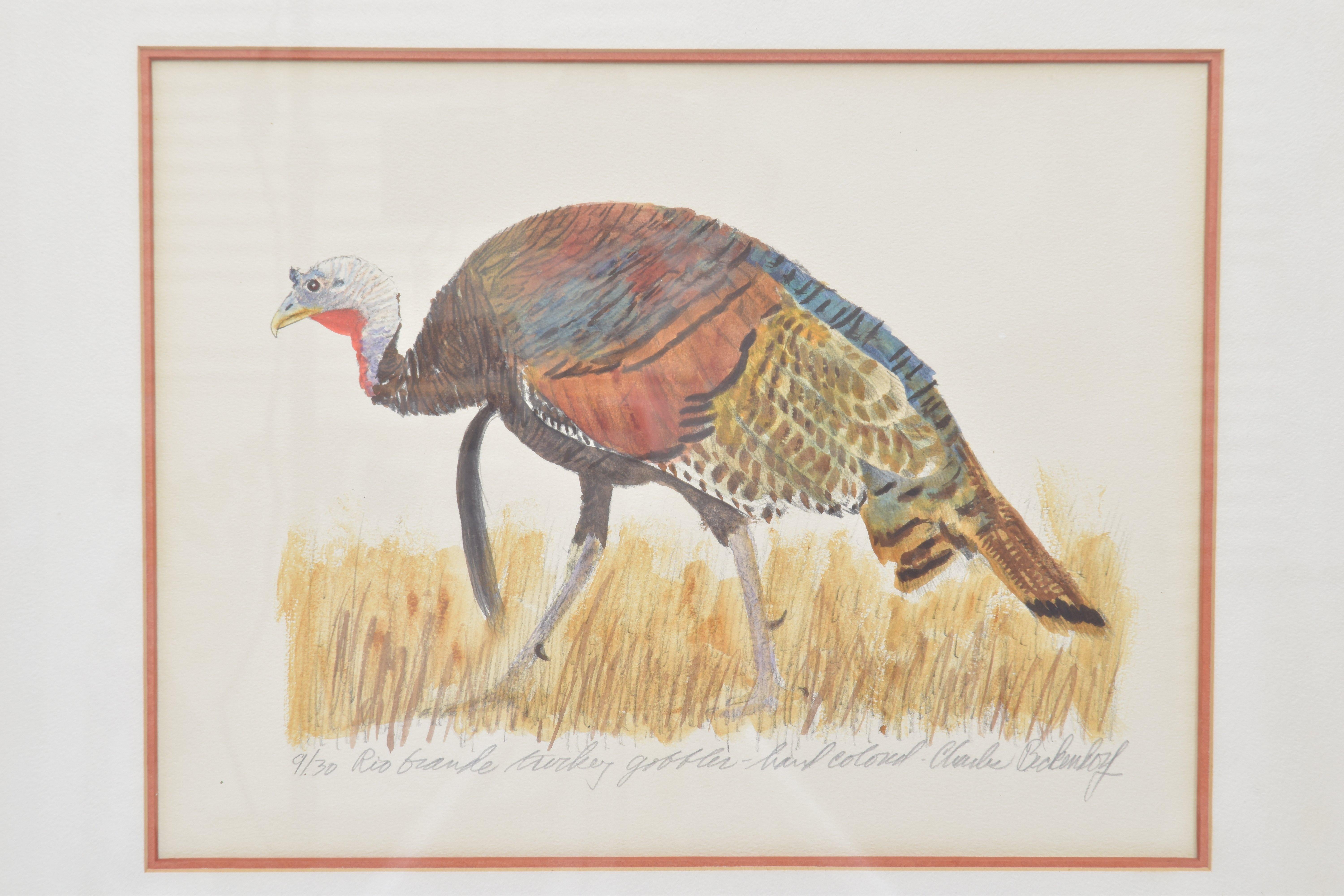 Rio Grande Turkey Gobbler, Signed Watercolor - Painting by Charles Beckendorf