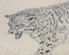 Naturalistic Modern Texas Bobcat Black and White Animal Wildlife Print