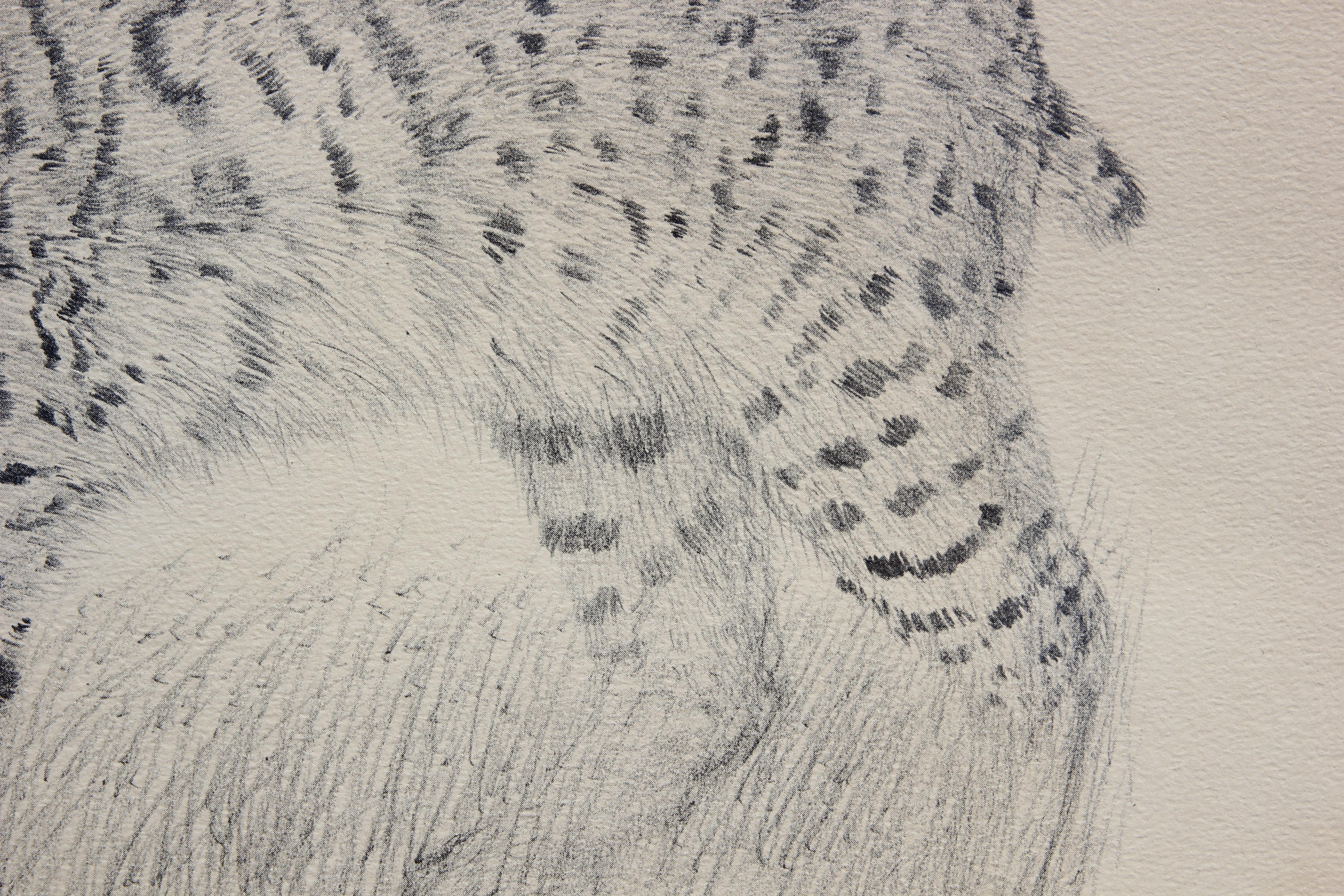 Moderner texanischer Bobcat-Druck mit schwarzem und weißem Tier-Wildlife-Muster (Naturalismus), Print, von Charles Beckendorf