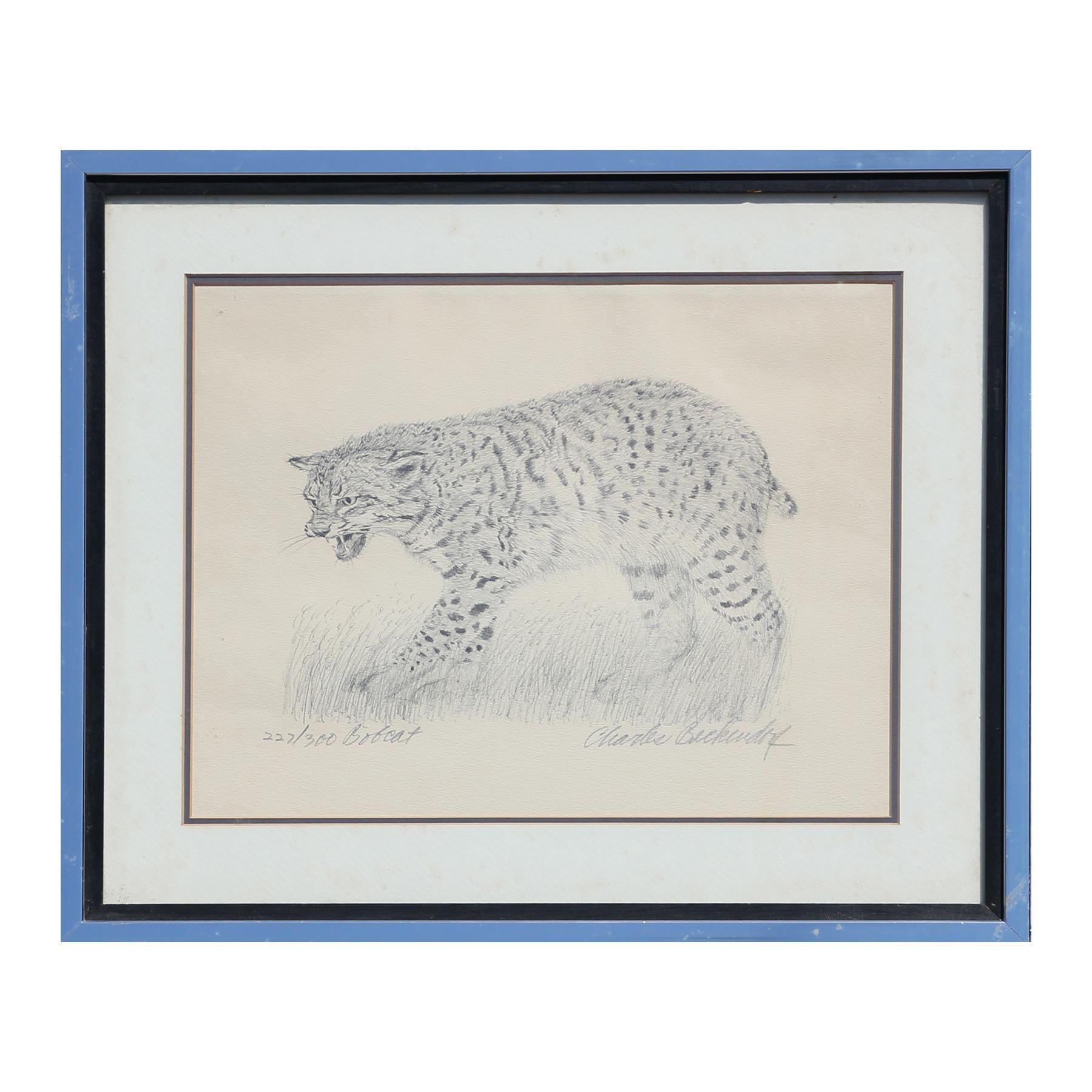 Charles Beckendorf Portrait Print – Moderner texanischer Bobcat-Druck mit schwarzem und weißem Tier-Wildlife-Muster