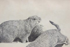 Naturalistic Texas Black Tailed Prairie Dog Black and White Animal Print