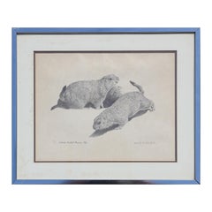 Naturalistic Texas Black Tailed Prairie Dog Black and White Animal Print