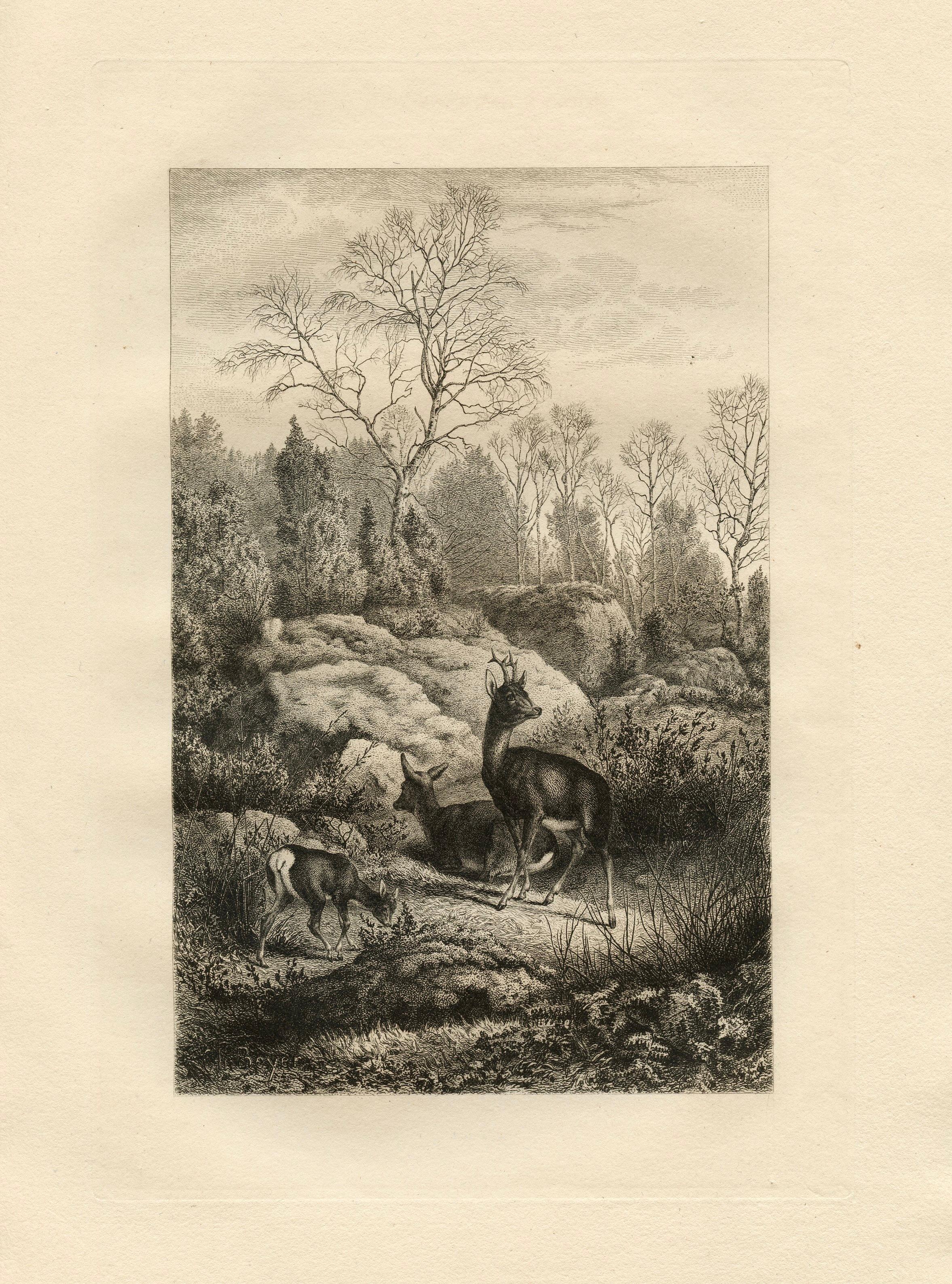 "In the Forest of Fontainebleau" original etching - Print by Charles Beyer
