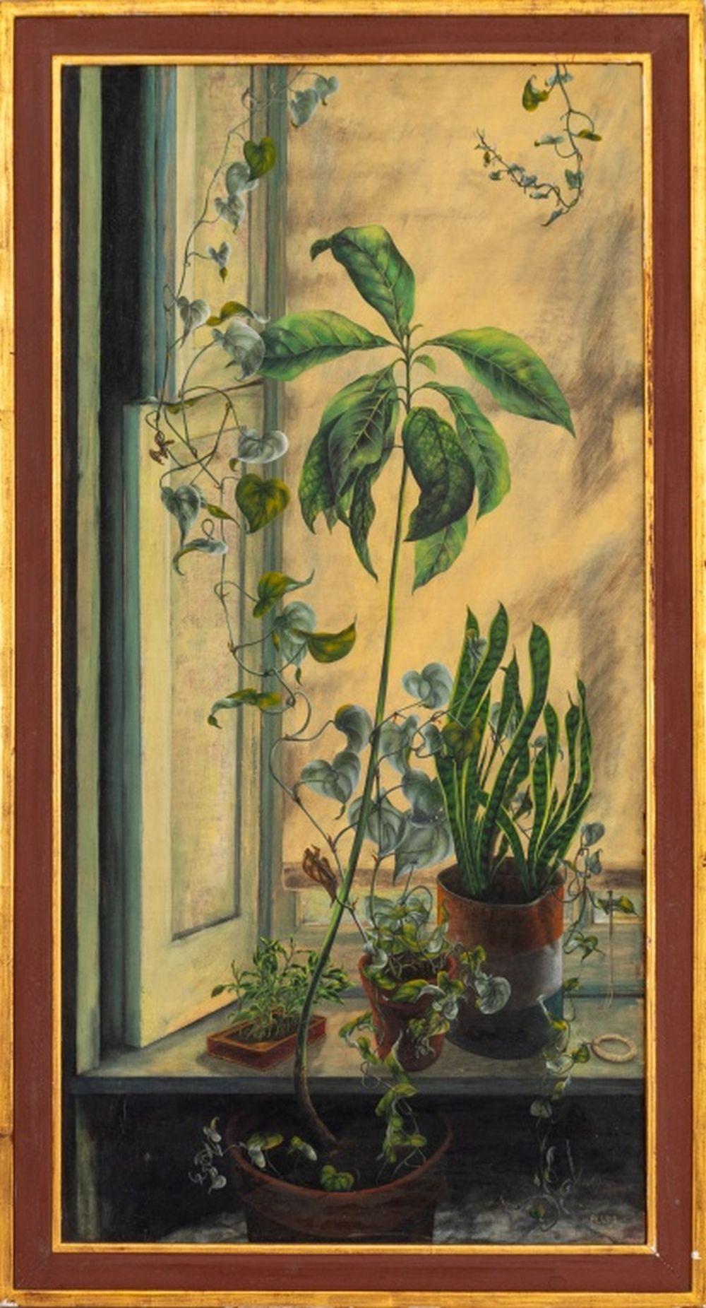 Giardino sul davanzale