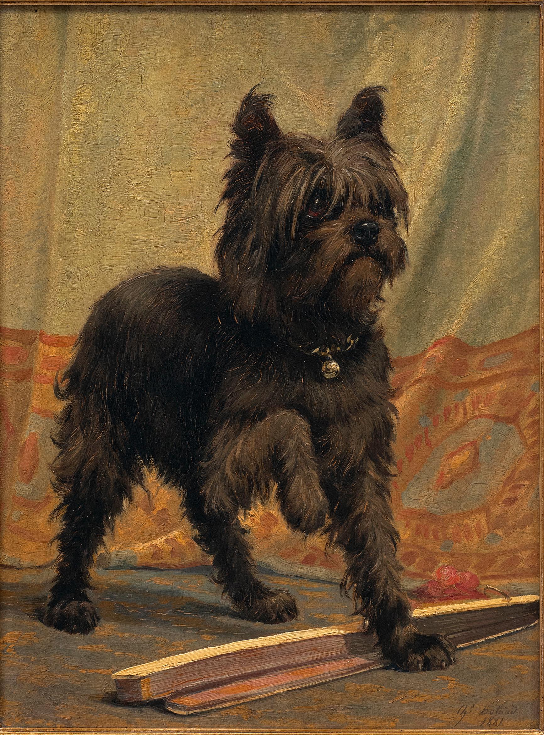 griffon dog portrait