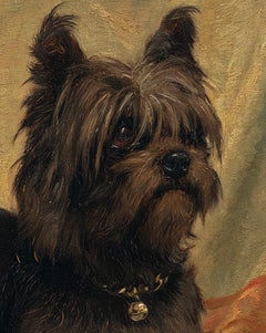 “Quick” A Dog Portrait of a Brussels Griffon, dated 1888 by Charles Boland