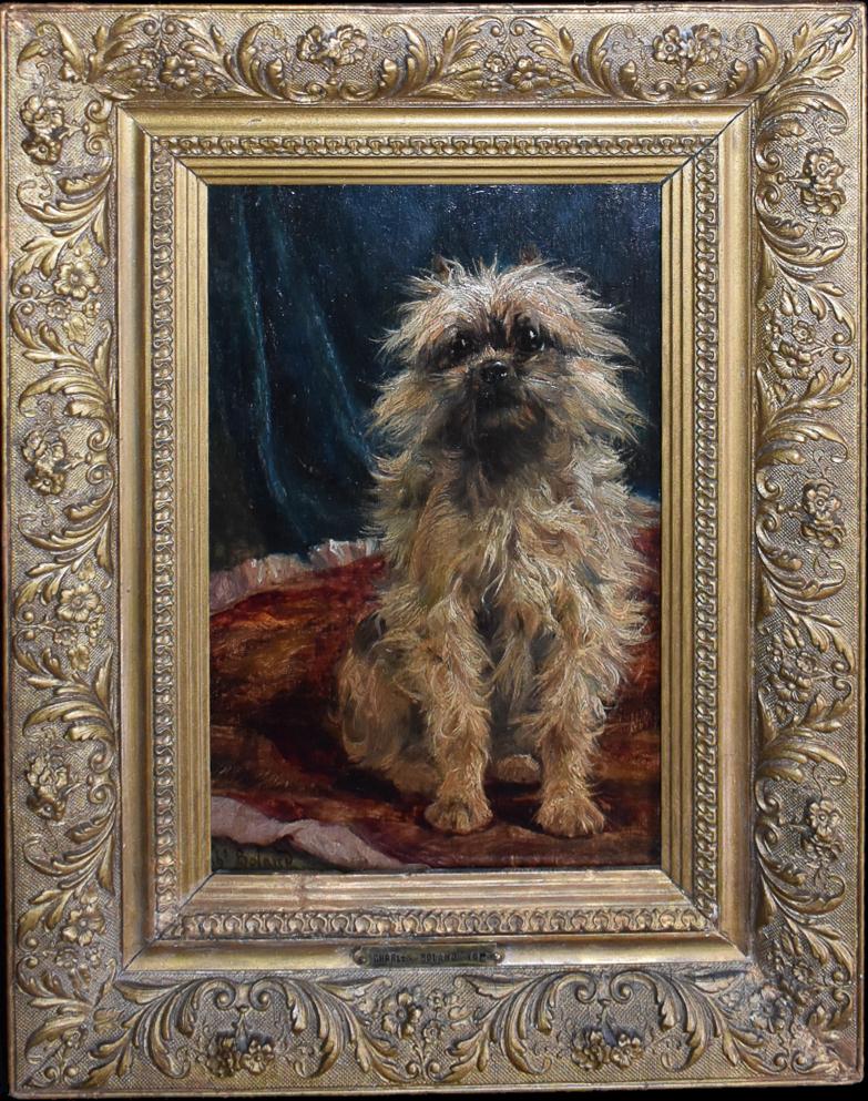 Tom' - un Griffone di Bruxelles; pittura di cani; Griffon Bruxellois