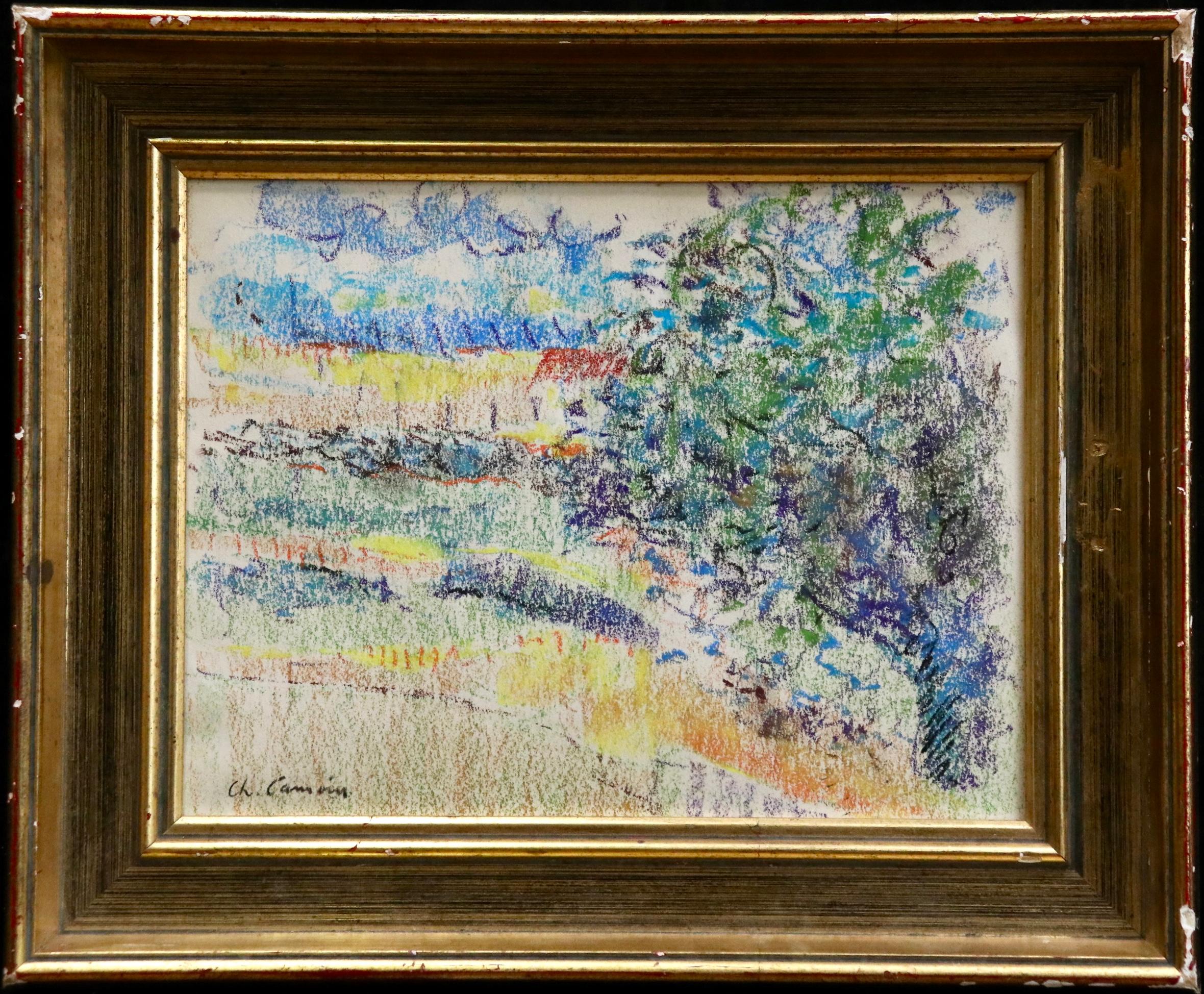 Mas en Provence - 20th Century Pastel, Tree in Landscape by Charles Camoin 2