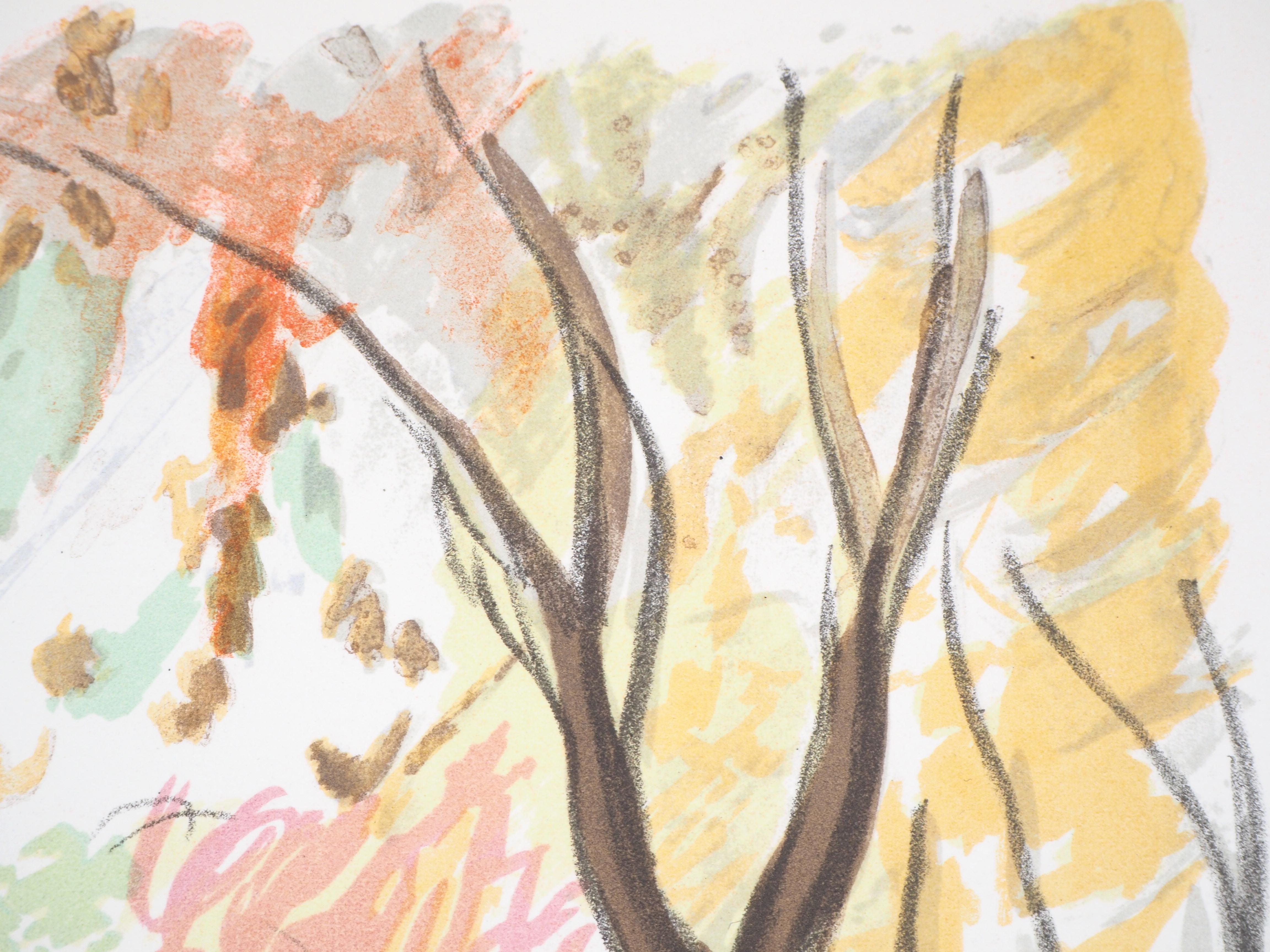 Charles CAMOIN
Otoño en París : Cerca del río Sena, 1946

Litografía original 
Firmado a lápiz abajo a la derecha
Numerado / XX
Sobre vitela Lana 26 x 36 cm (c. 10,2 x 14 pulgadas)

Excelente estado