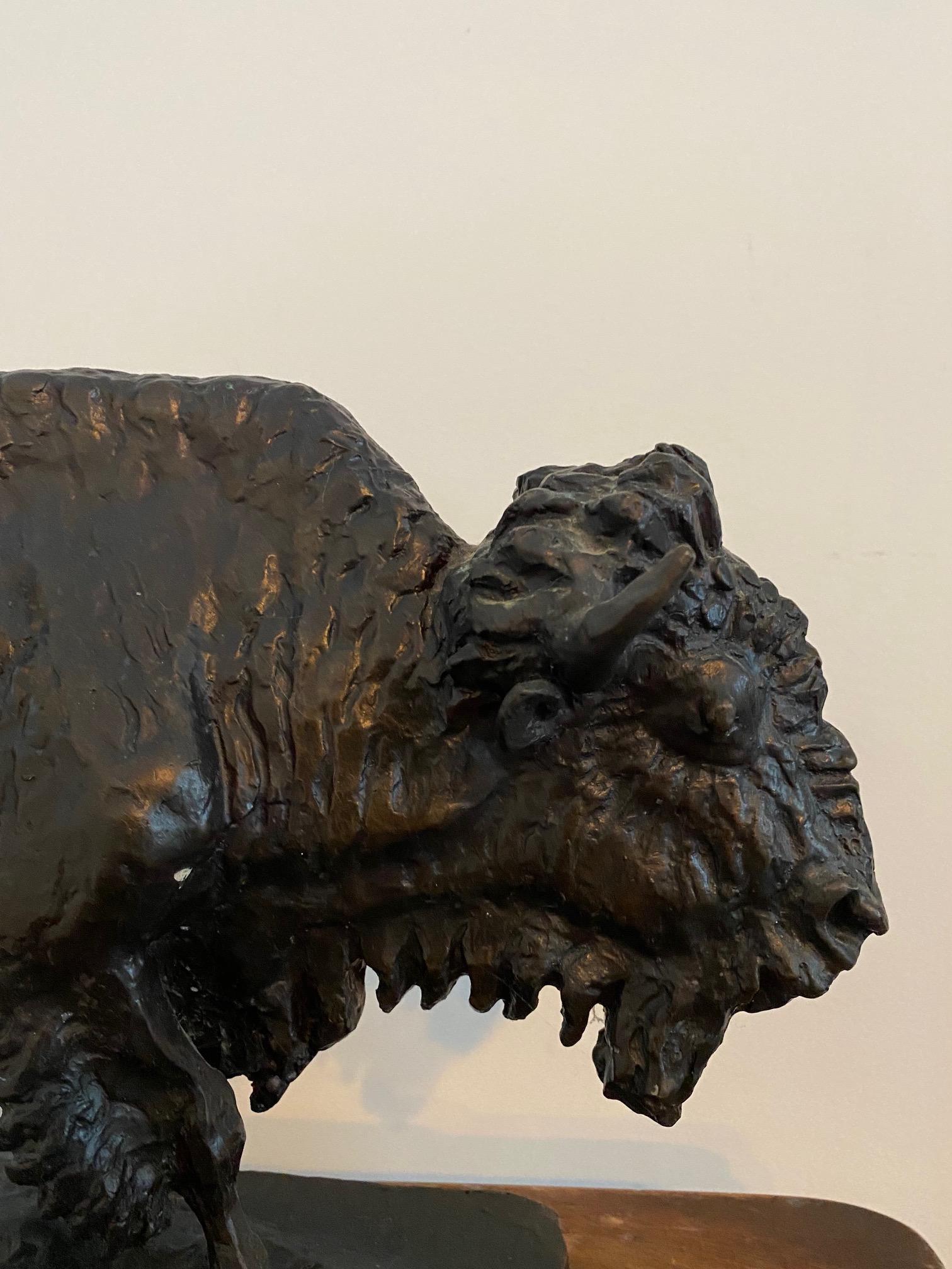 Bufalo o Bisonte in bronzo di Charles Rumsey - Sculpture di Charles Cary Rumsey