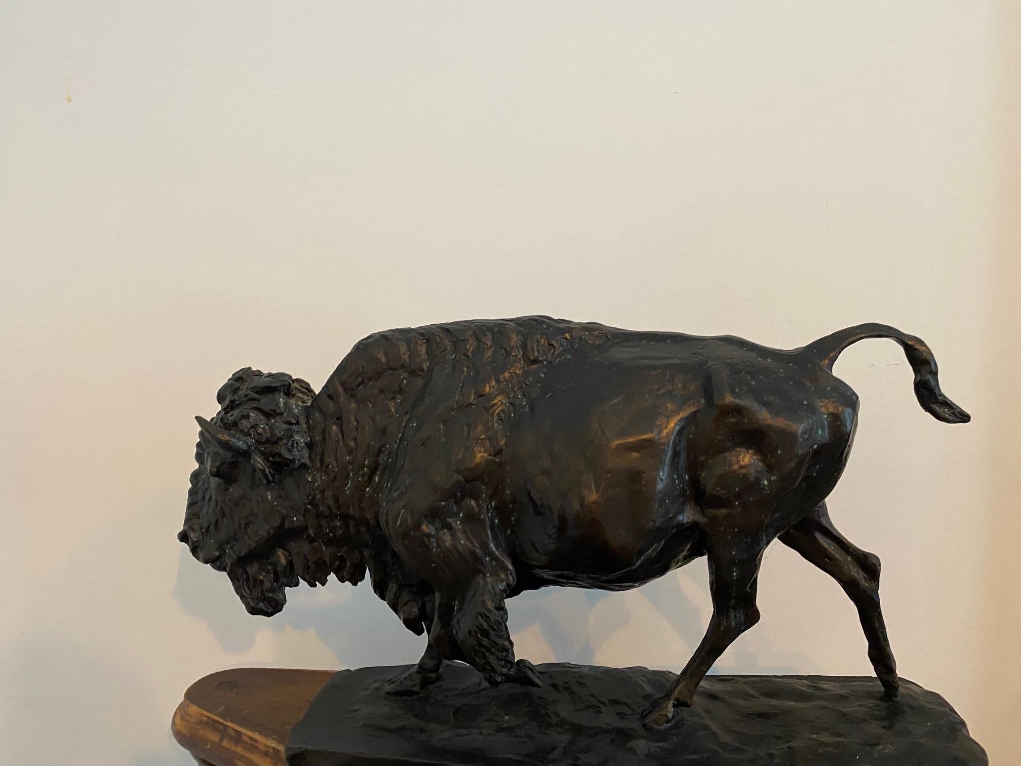 Buffalo ou Bison en bronze de Charles Rumsey  - Réalisme américain Sculpture par Charles Cary Rumsey