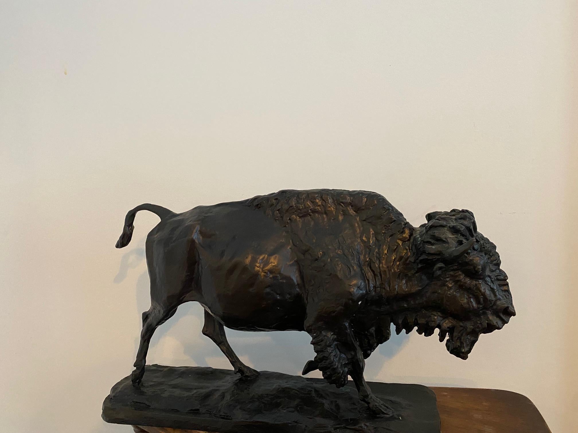 Buffalo oder Bison aus Bronze von Charles Rumsey  (Gold), Figurative Sculpture, von Charles Cary Rumsey