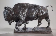 Buffalo or Bison in bronze by Charles Rumsey 